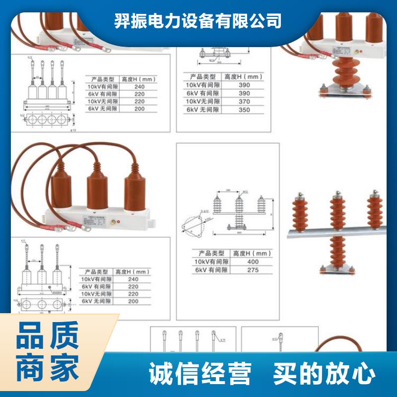 〖过电压保护器〗TBP-B-12.7/131全国发货