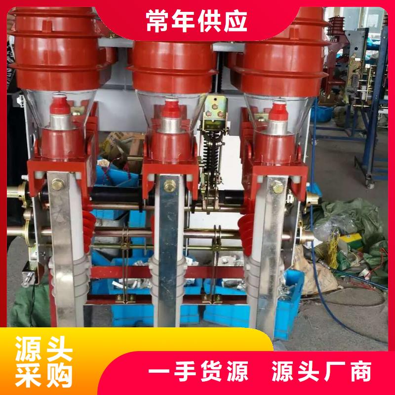 高壓負(fù)荷開關(guān)FZRN40-12D/T100-31.5