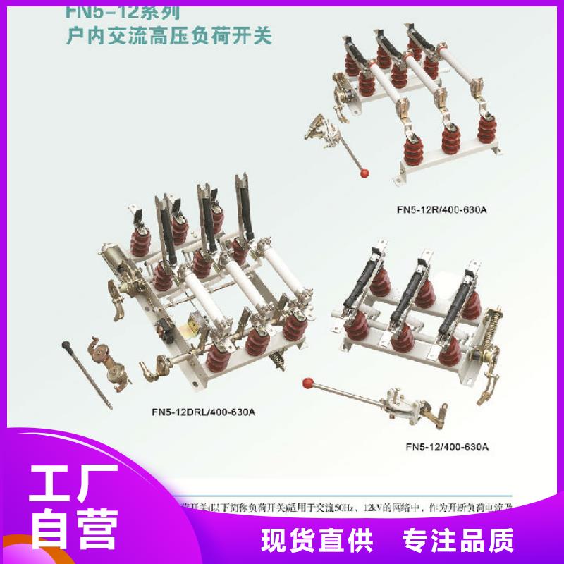 FN25A-12RD/125-31.5高壓負(fù)荷開關(guān)