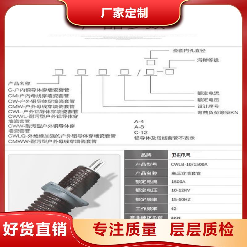 〖高压穿墙套管〗CWW-24/3150-4免费咨询