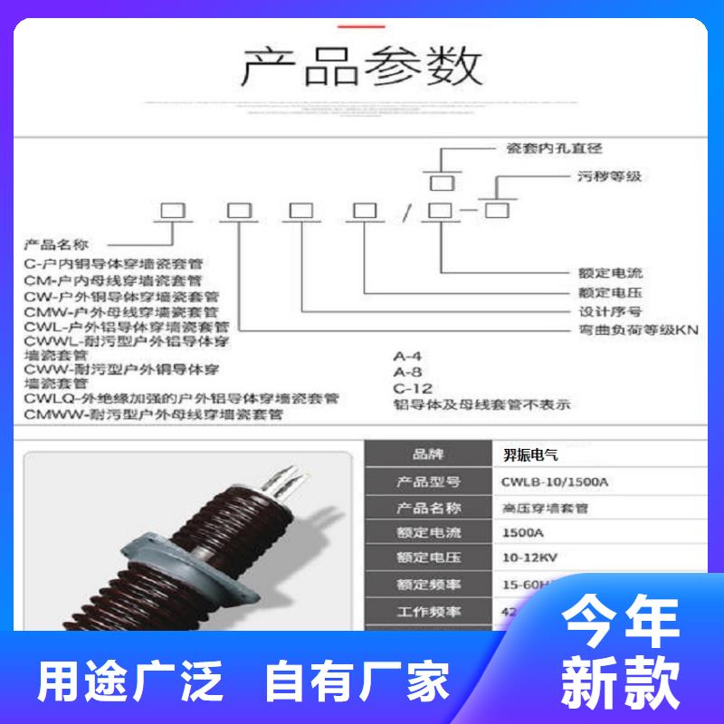 穿墙套管-CWWL-10/3150-上海羿振电力设备有限公司