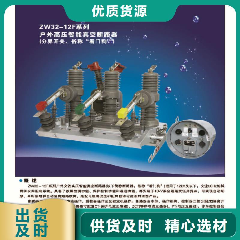 品牌【羿振电力】ZW32-10KV/630-20