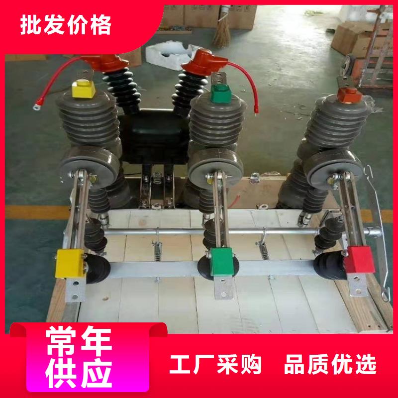 品牌【羿振电力】ZW32-10KV/630-20