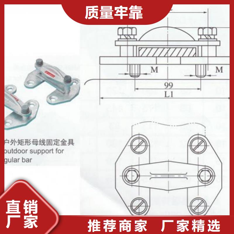 硬母线固定金具MWP-401T