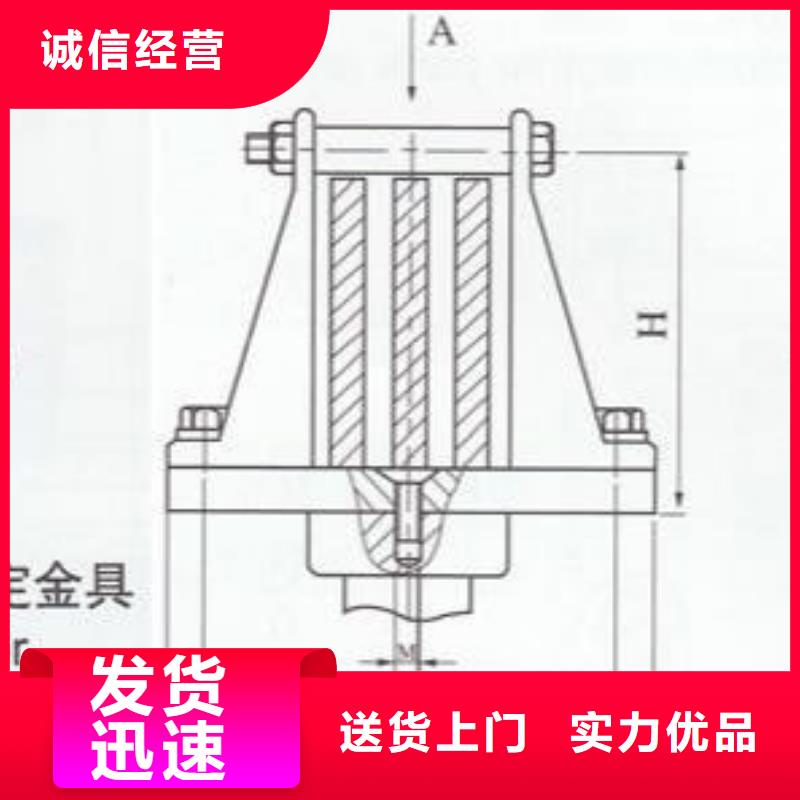 ZNW-10/8N【上海羿振电力设备有限公司】