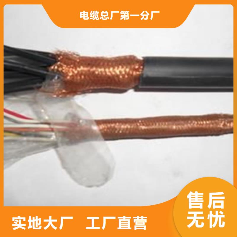 视频电缆ZRC-SYV75-5-2C+RVVP2X0.5现货直供