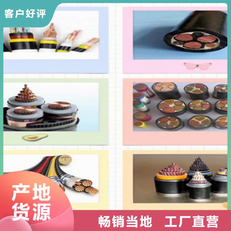 屏蔽对绞通讯电缆_厂家定制