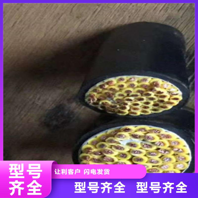 特种电缆阻燃电缆厂家货品齐全