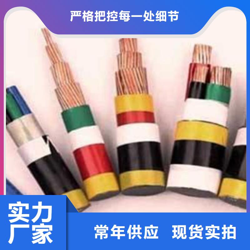 VVRTP屏蔽軟芯電纜出廠價(jià)格