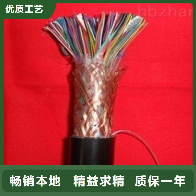 【通信電纜阻燃電纜廠家卓越品質(zhì)保障】