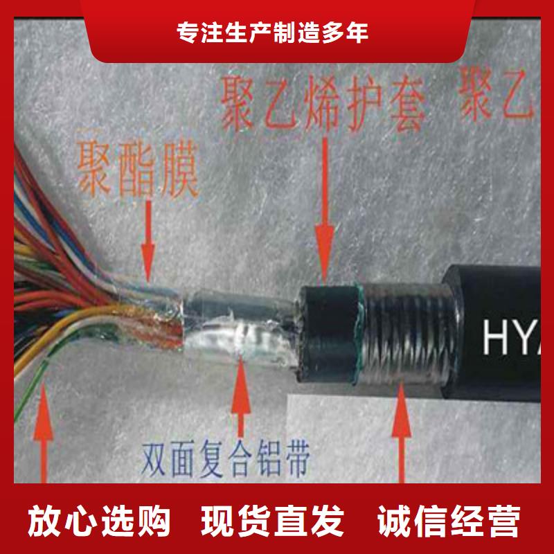 CC-LINKFANC-SB紫色通讯电缆本地厂家