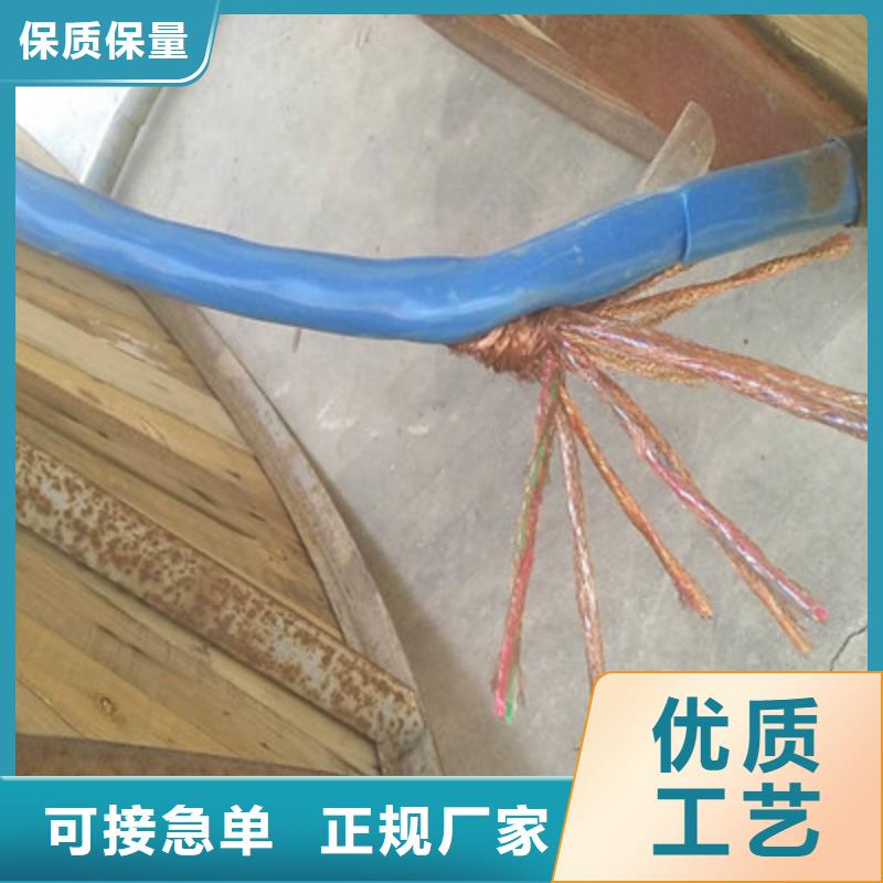 阻燃計(jì)算機(jī)電纜ZR-DJYP2V2R10X2X2.5