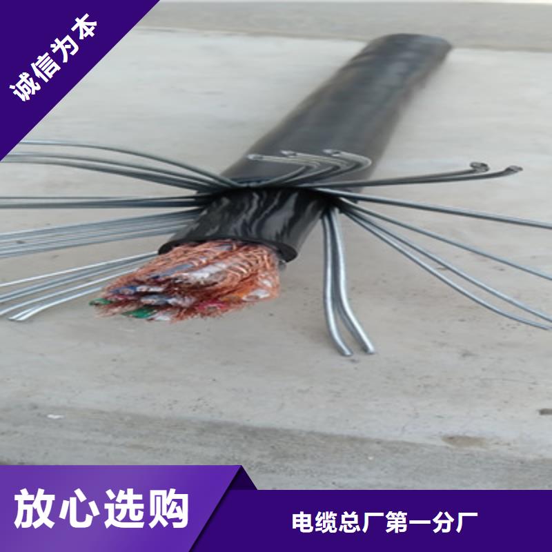計(jì)算機(jī)電纜屏蔽電纜精品優(yōu)選