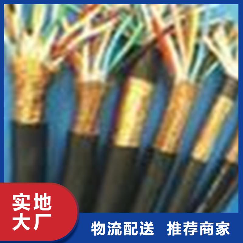 【計(jì)算機(jī)電纜通信電纜支持貨到付清】