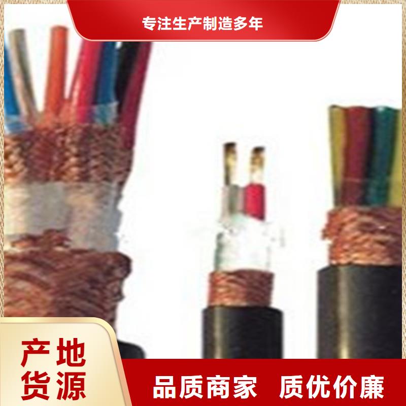 計算機電纜-信號電纜廠家直銷省心省錢