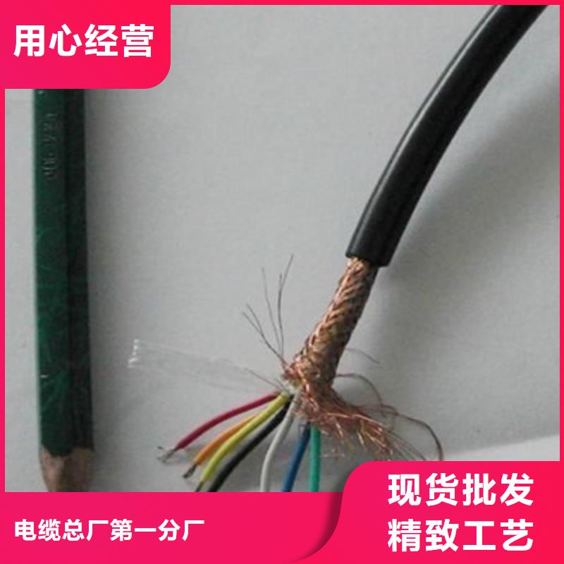計(jì)算機(jī)電纜信號(hào)電纜供您所需