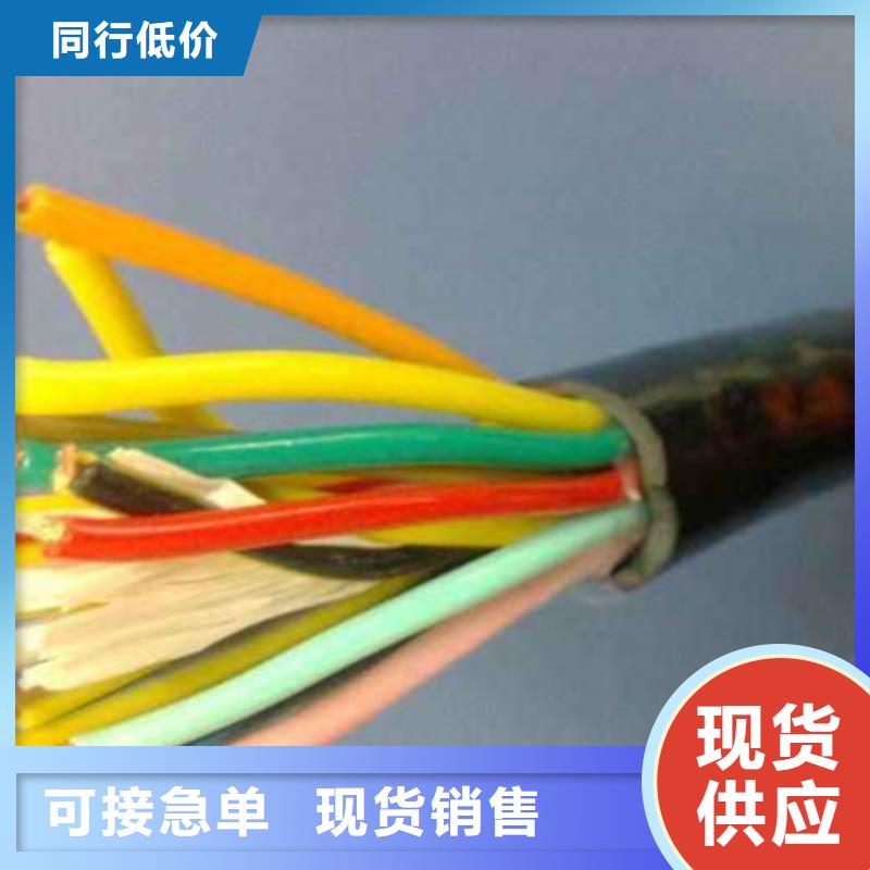 WDZ-DJVP3VR低煙無(wú)鹵計(jì)算機(jī)電纜規(guī)格齊全