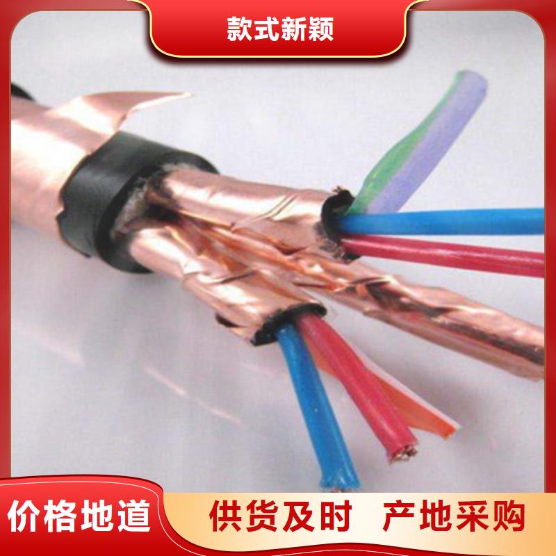 計(jì)算機(jī)電纜_屏蔽電纜源廠直接供貨