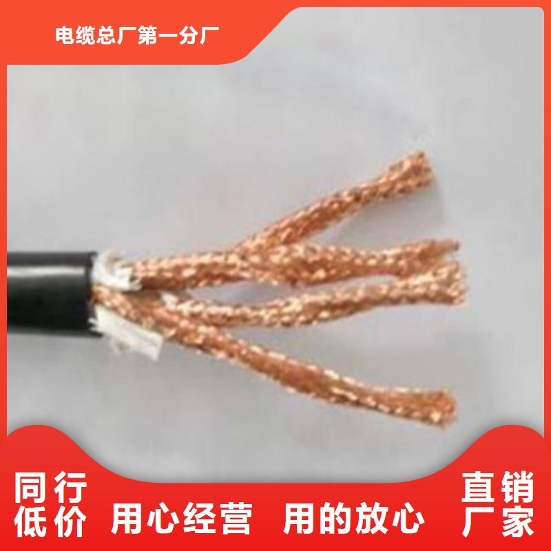 計算機屏蔽電纜HBIYP2YVZ-III質(zhì)量上乘廠家