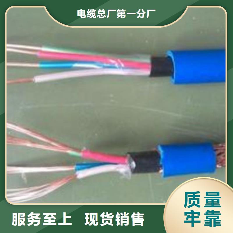 【計算機電纜屏蔽電纜匠心制造】