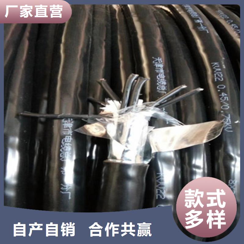 礦用控制電纜 屏蔽電纜價(jià)格實(shí)惠工廠直供