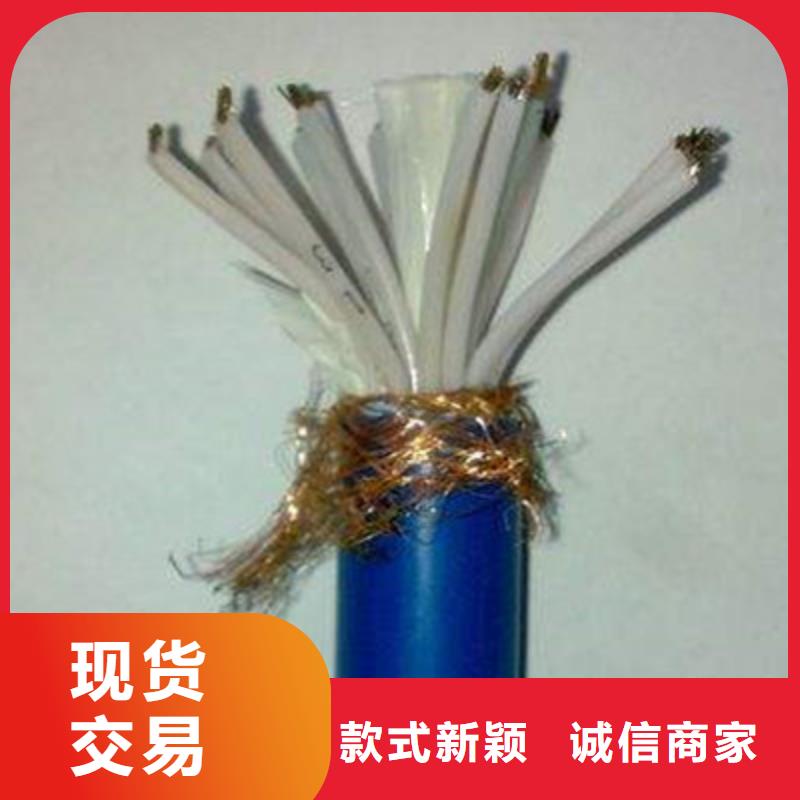 耐高溫電纜【屏蔽電纜】48小時(shí)發(fā)貨