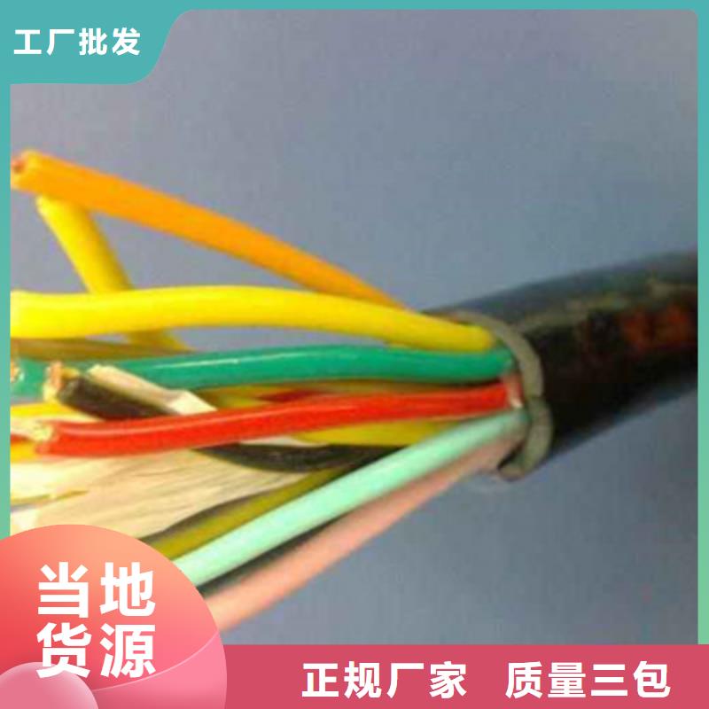 耐高溫電纜【屏蔽電纜】品質(zhì)服務(wù)