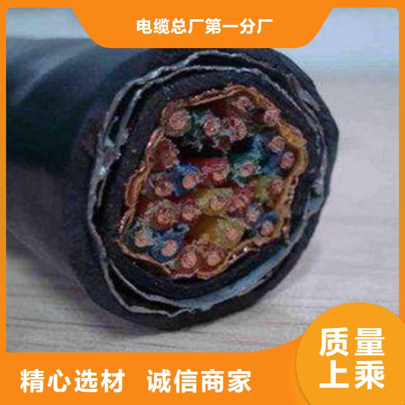 計算機耐高溫電纜DJFVP品牌廠家
