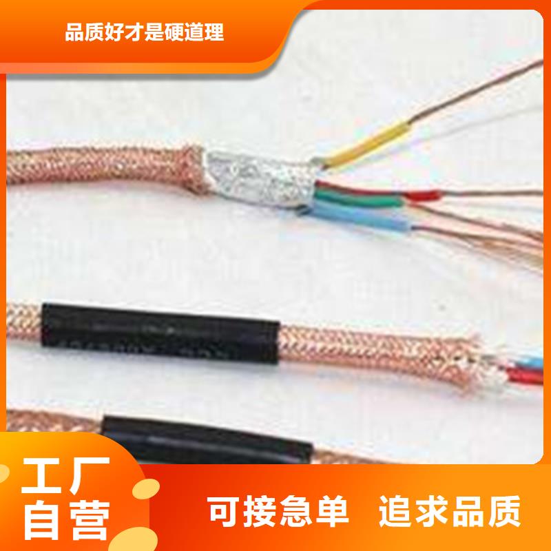 DJFPG計(jì)算機(jī)耐高溫電纜24X2X0.5