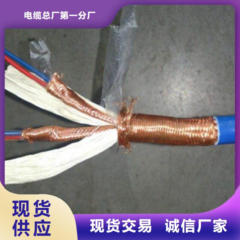 DJFPG計(jì)算機(jī)耐高溫電纜24X2X0.5