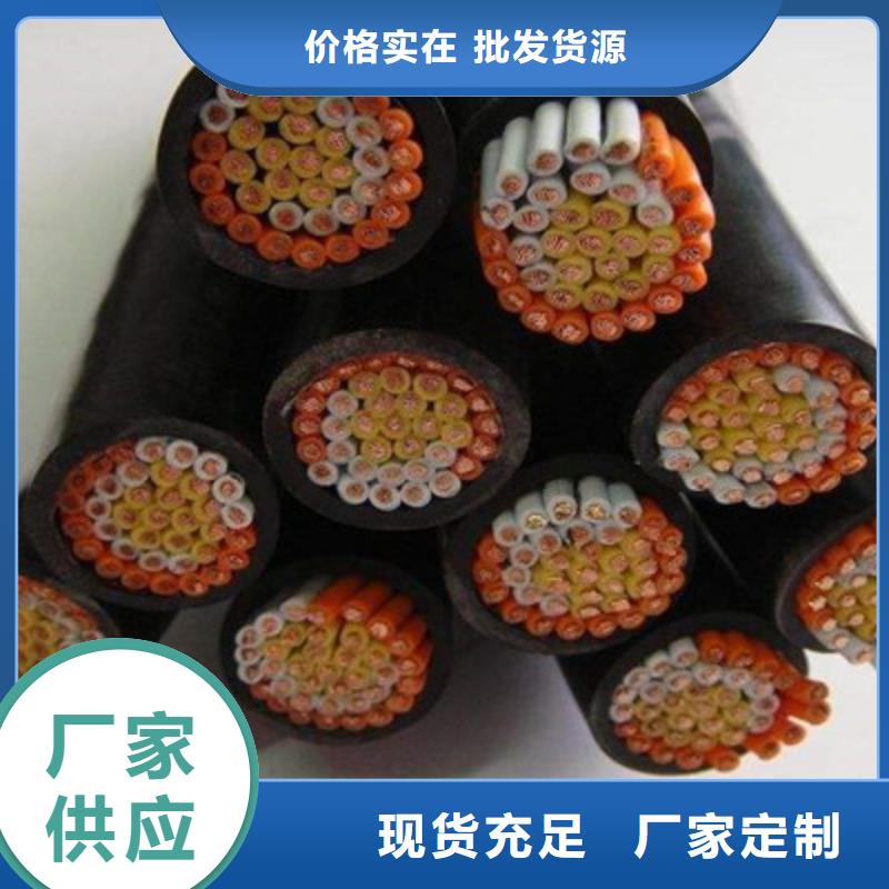 DJFPG計(jì)算機(jī)耐高溫電纜24X2X0.5