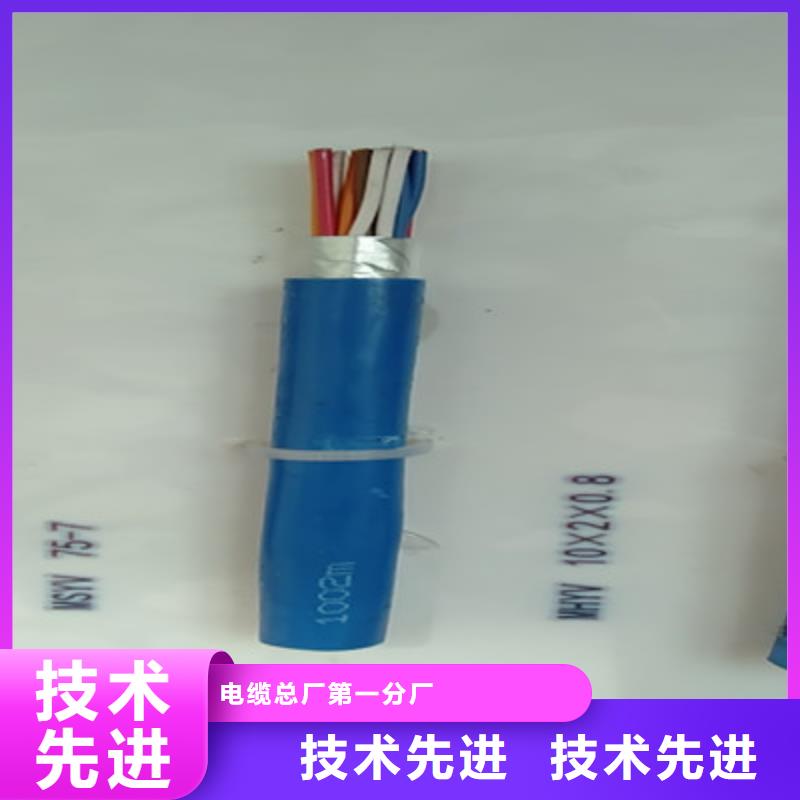 能做特种型号射频线SYWV22的厂家