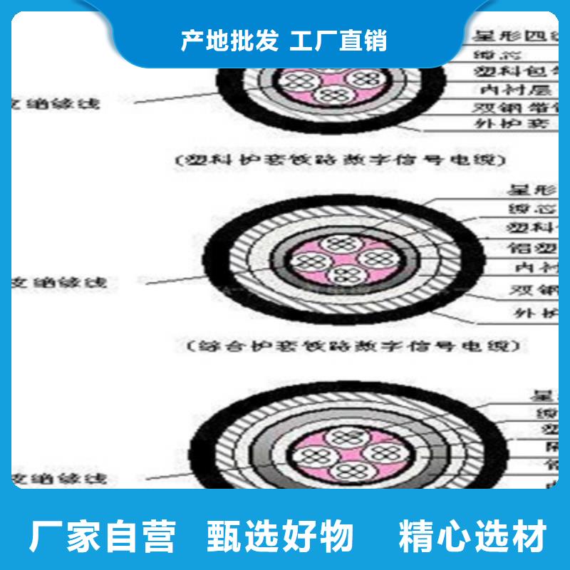 铁路信号电缆FYV3021芯