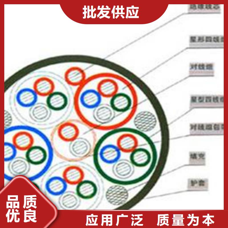 【铁路信号电缆信号电缆一周内发货】