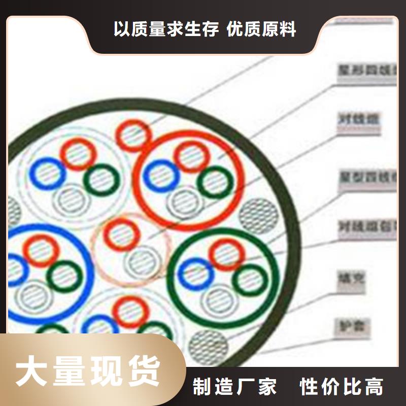 铁路信号电缆屏蔽电缆源厂直接供货