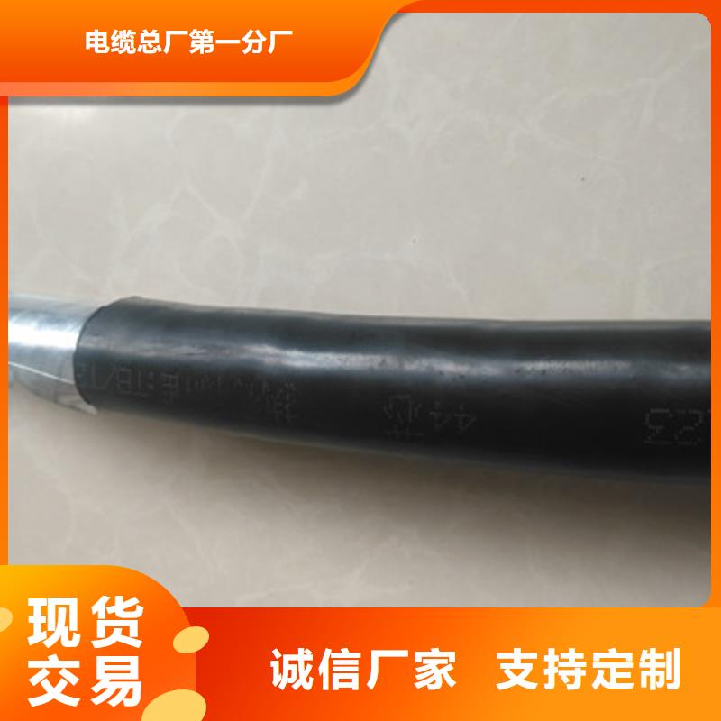 WDZ-铁路信号线缆PVV2252芯