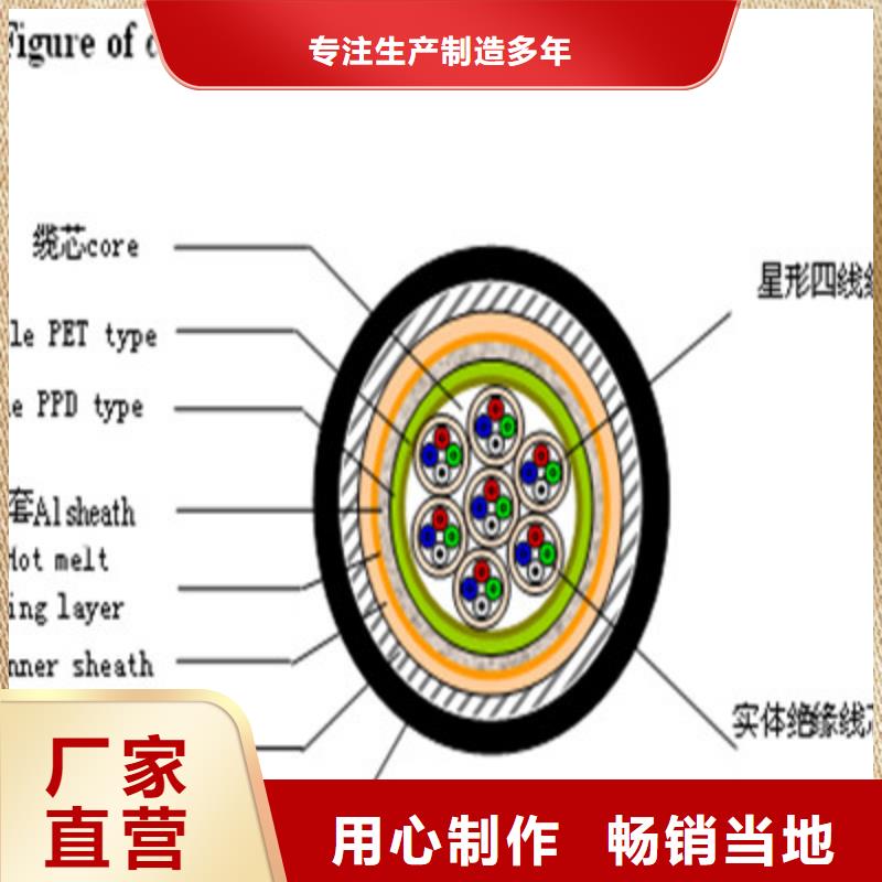 铁路信号电缆FYV3021芯