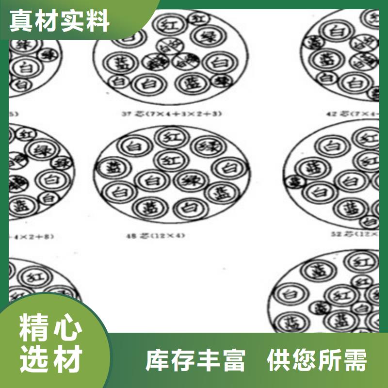 低烟无卤37芯铁路信号电缆学校