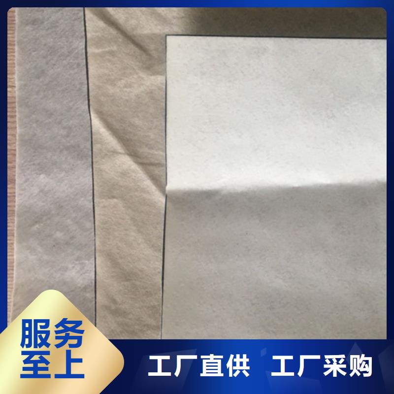 土工膜【防滲膜】滿足多種行業(yè)需求