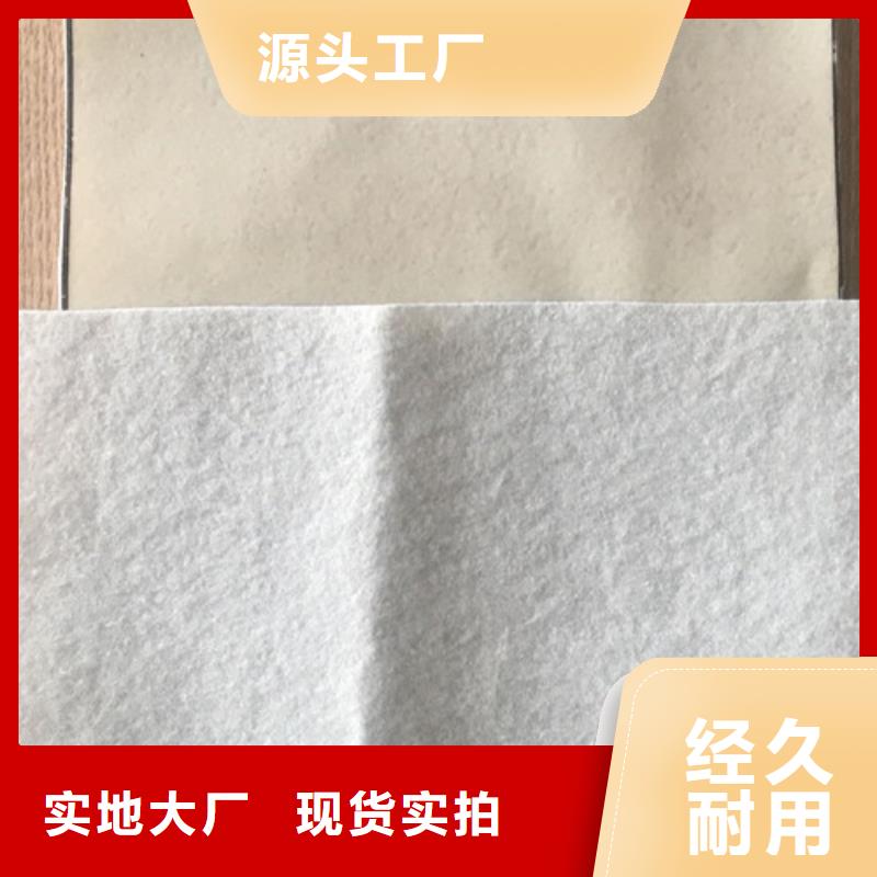 土工膜【水泥毯】誠信經(jīng)營現(xiàn)貨現(xiàn)發(fā)