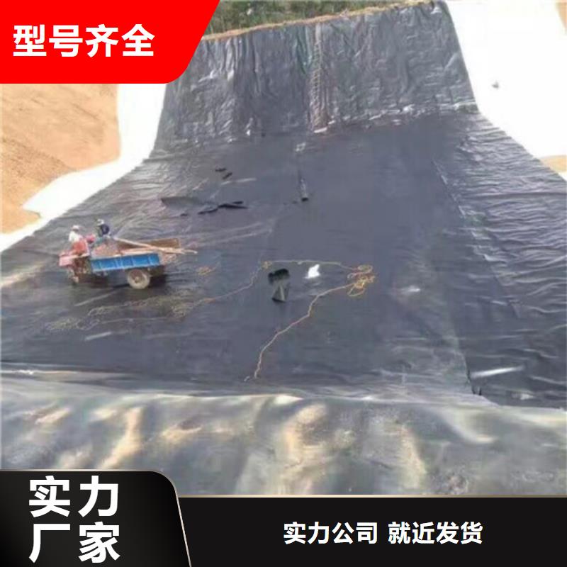 【土工膜 【塑料排水板】廠家供應(yīng)】