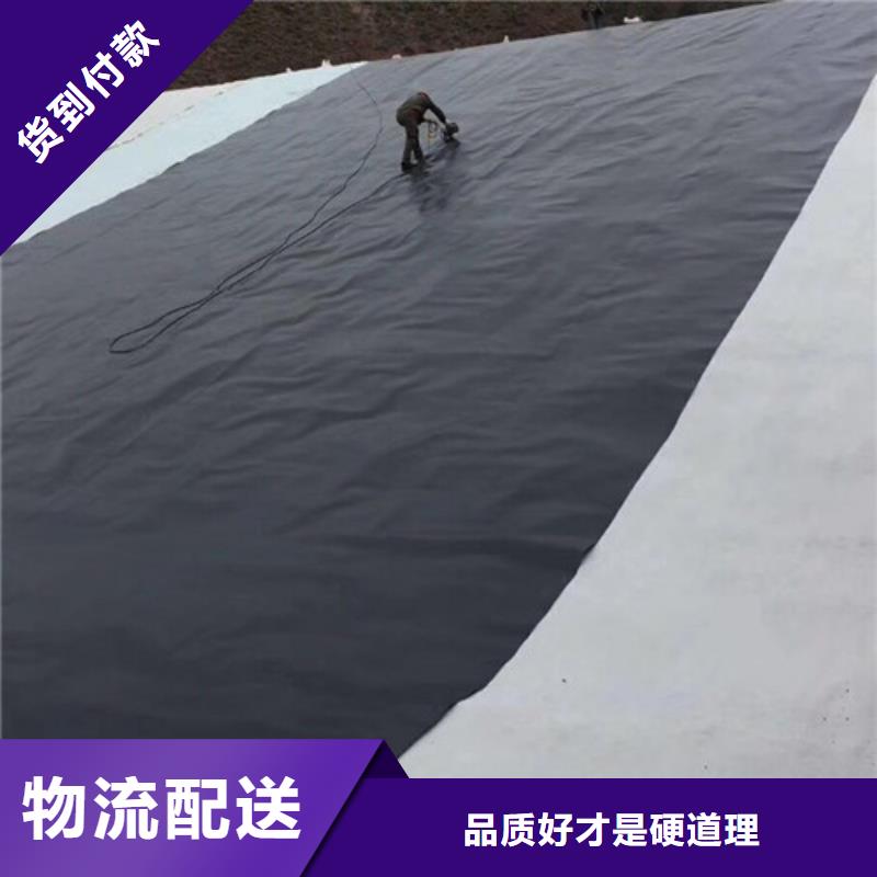 土工膜土工格柵當(dāng)日價格