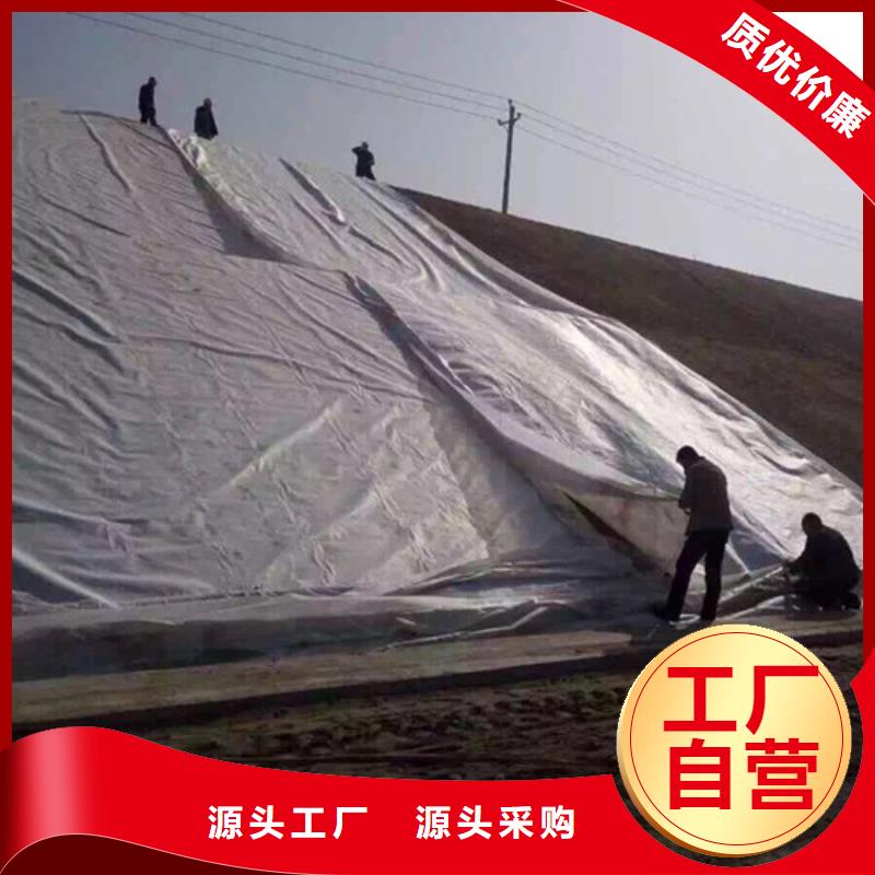 土工膜防水板專業(yè)生產(chǎn)廠家