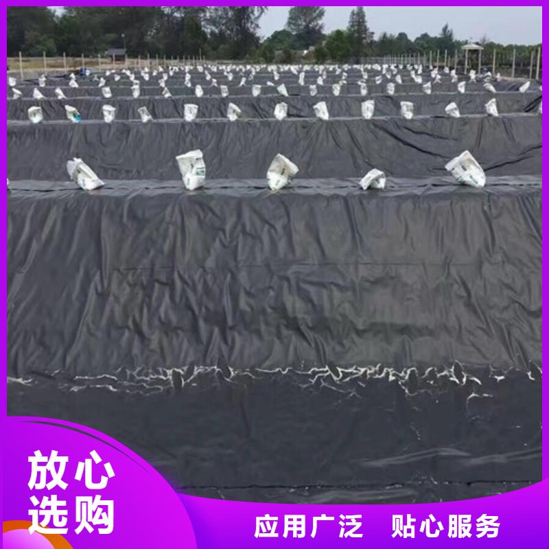 土工膜兩布一膜專注生產(chǎn)制造多年