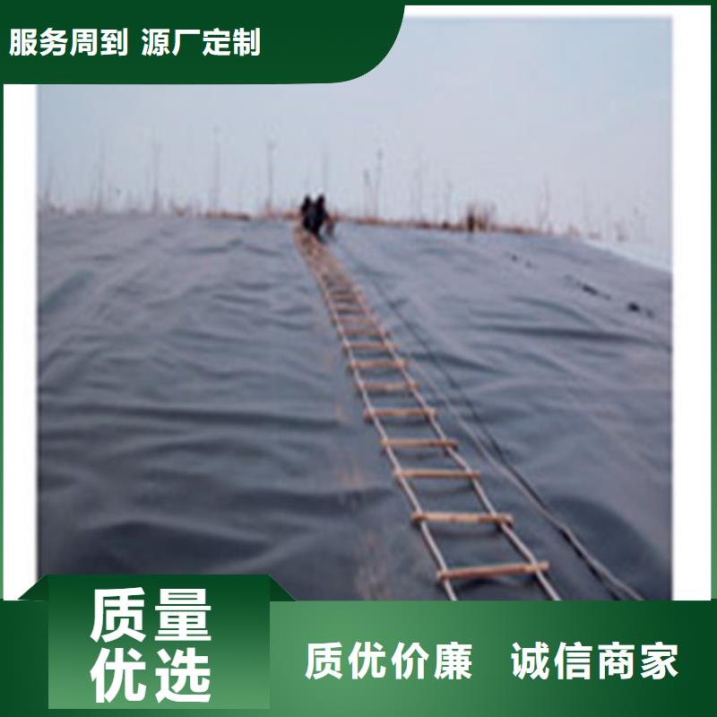 土工膜塑料排水板可接急單