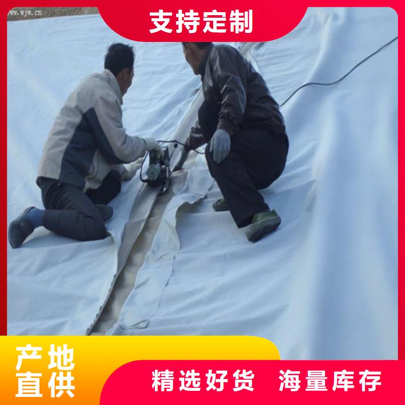 土工膜【【生態(tài)袋】】48小時(shí)發(fā)貨