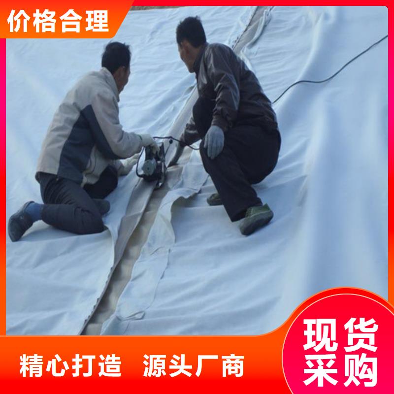 土工膜,防滲土工膜工藝成熟
