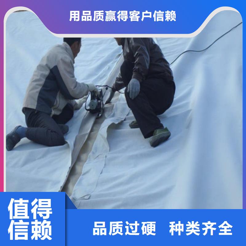 土工膜_膨潤土防水毯海量現(xiàn)貨