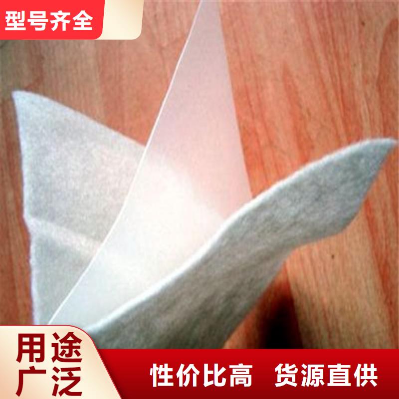 土工膜_防滲土工膜質(zhì)量上乘