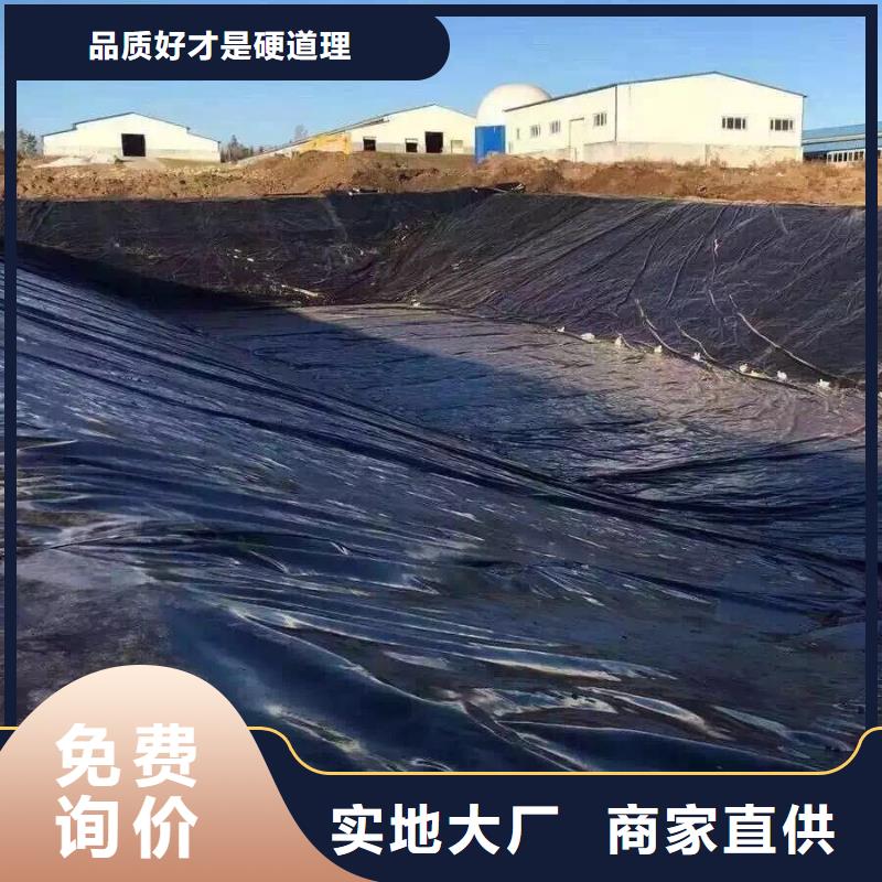 土工膜【通風(fēng)降噪絲網(wǎng)】口碑好實(shí)力強(qiáng)